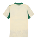 Camisa Palmeiras 25/26 I Edição Especial - Versão Torcedor