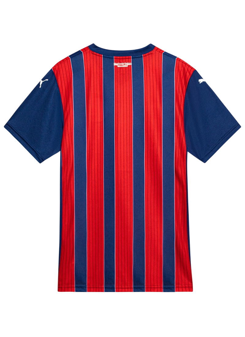 Camisa Bahia 25/26 II Away - Versão Torcedor